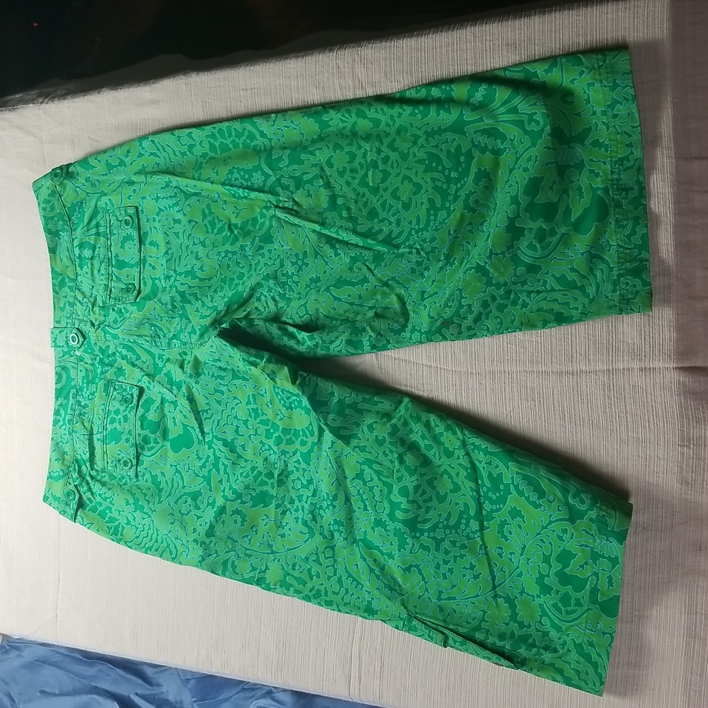 Sigrid Olsen 14 Shorts - image 3